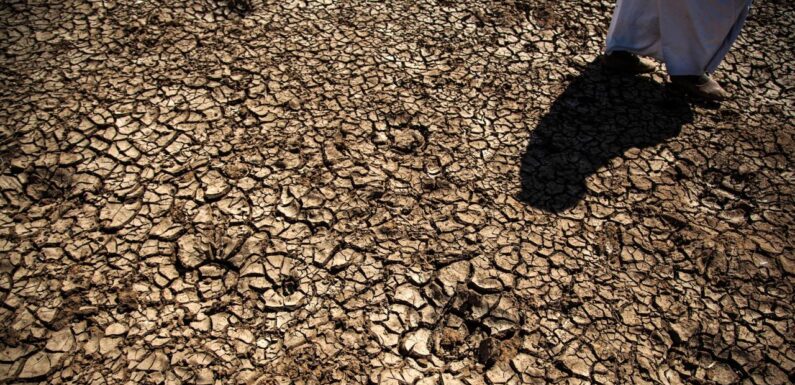 FAO’dan Türkiye’deki erozyon ve kuraklık tehlikesine 8,1 milyon dolarlık estek