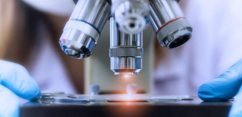 ARGE, yenilik ve kritik araştırmaların rotası yol haritaları ile çizilecek