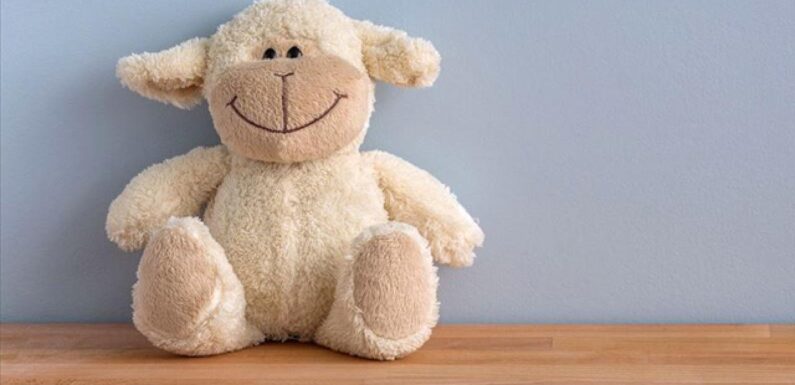 İthal edilecek oyuncaklara ‘künye’ denetimi yapılacak