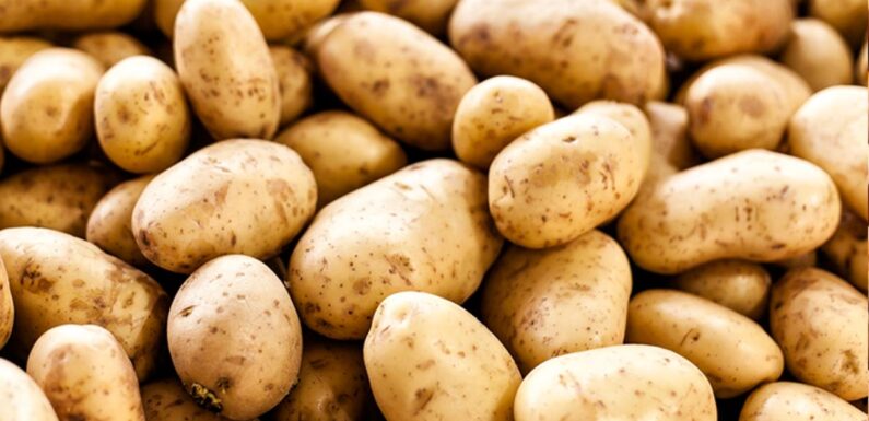 Ticaret Bakanlığı’ndan patates fiyatlarına ilişkin açıklama