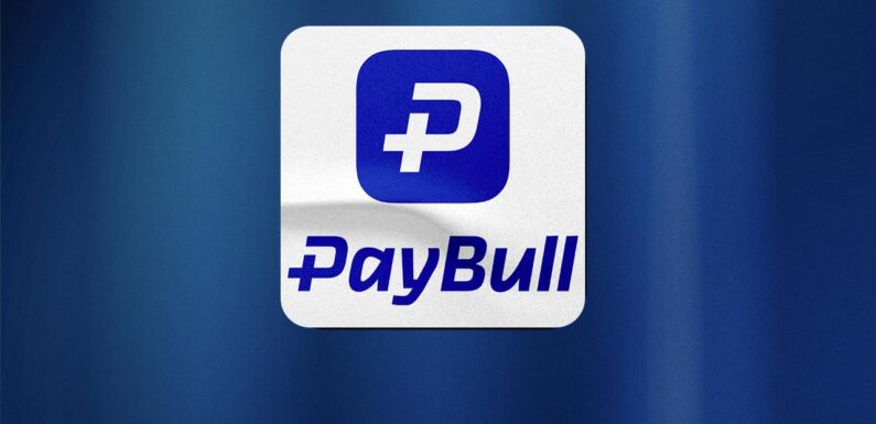 Paybull’a yasa dışı bahisten el konuldu