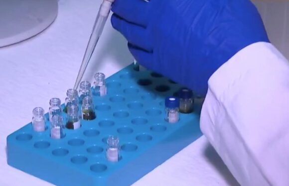 Pestisit kalıntılarının maksimum limitlerine ilişkin esaslar düzenlendi