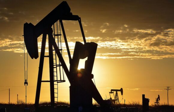 OPEC üyesi 8 ülke petrol üretimini artıracak