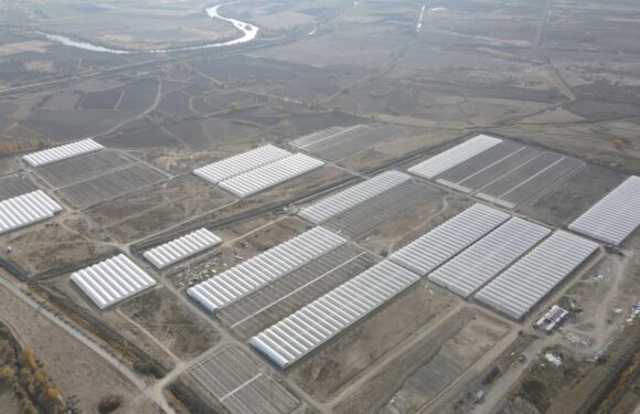 Doğu Anadolu’nun en büyük toplu sera alanı kuruluyor