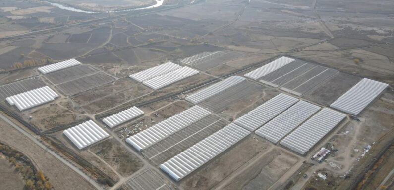 Doğu Anadolu’nun en büyük toplu sera alanı kuruluyor