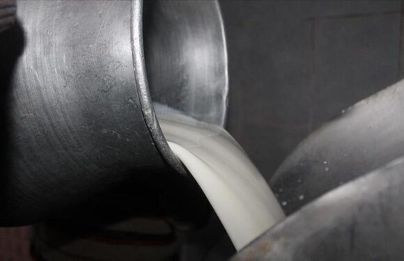 Çiğ inek sütünün yağ değerlerinde değişiklik yapıldı