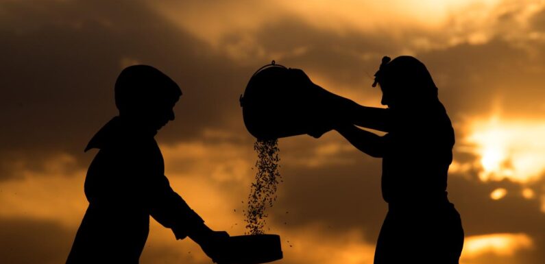 Aşırı hava olayları tahıl ürünlerinde büyük kayba neden oluyor