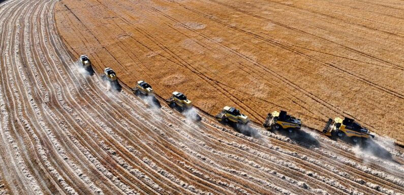 Kalkınma programları ile kırsal bölgelerde istihdam sağlanıyor