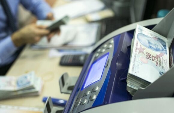 Bankalardaki mevduatlar 50 aydır yükseliyor